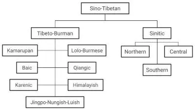 A Brief History of the Tibetan Language