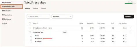 Access the Staging Environment