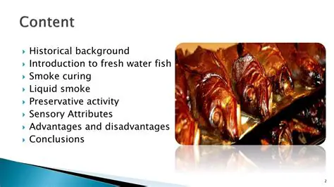 Advantages of Using Liquid Smoke as a Natural Preservative