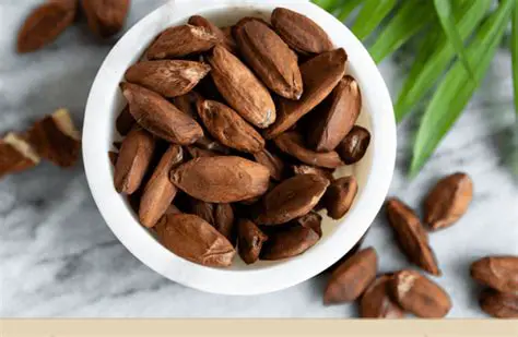Almond Dasia: Unveiling the Secrets of This Exotic Nut & Its Health Benefits