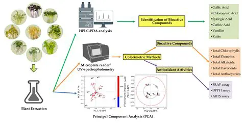 Analysis of Active Compound Content