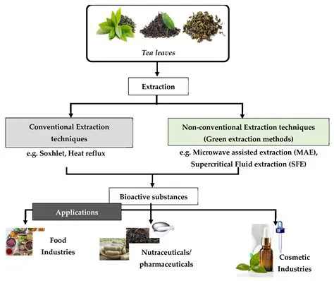 Analysis of the Effectiveness of the Extract of the Leaves