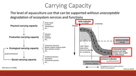 Analyzing Lateral Carrying Capacity and Pole Group Efficiency