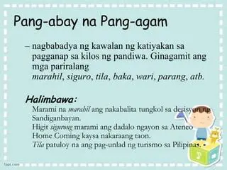 Ang Pang Abay na Pang Agam Wari