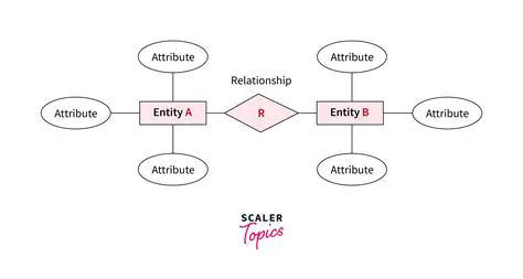 Attributes of a Section Entity