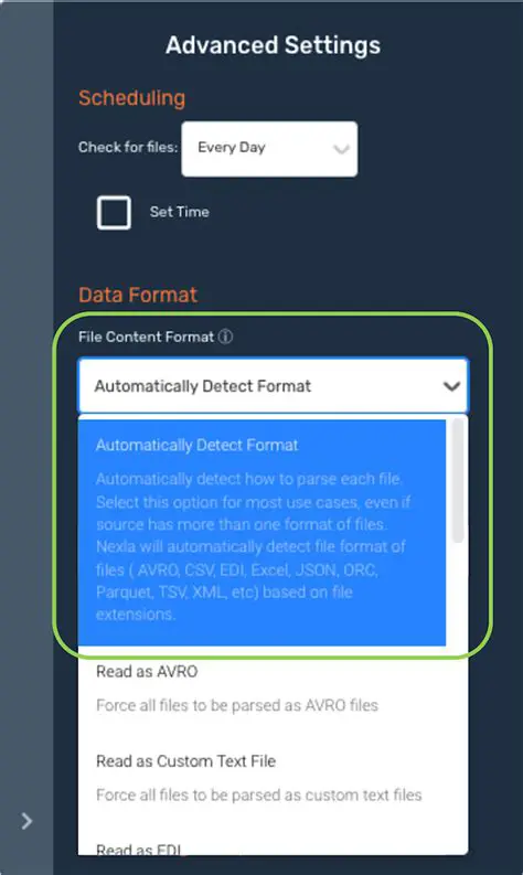 Automatic File Format Detection