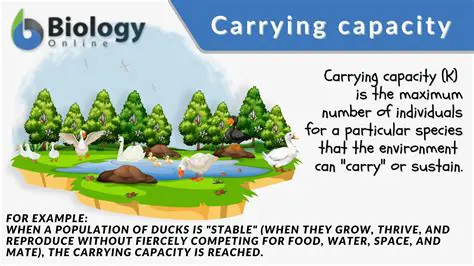 Biological carrying capacity
