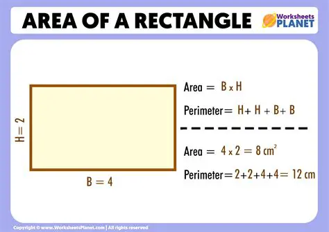 Calculating the Area of the Rectangles