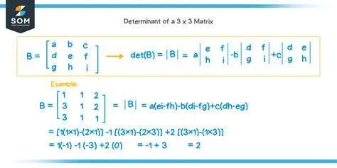 Calculating the Determinant of a 3x3 Matrix