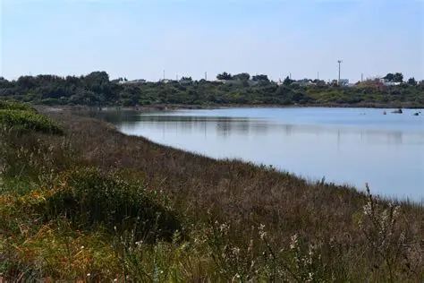Caprarica: Un Tesoro Nascosto del Salento, Tra Storia, Cultura e Paesaggi Incantevoli