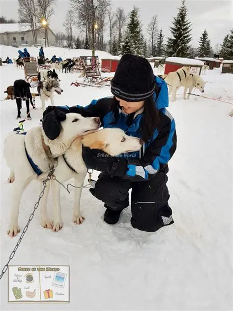 Capturing the Thrill: The Unrivaled Power of Motonews Photos in Digital Storytelling