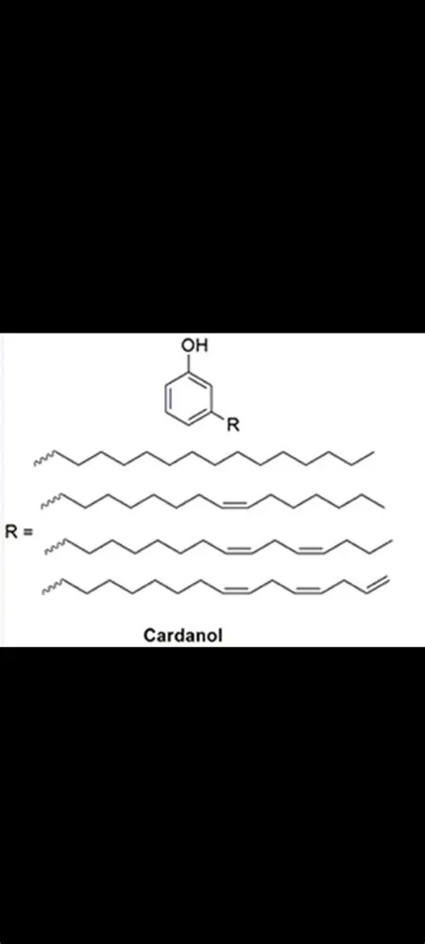 Cardanol Isolation Process