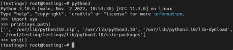 Check the Python interpreter