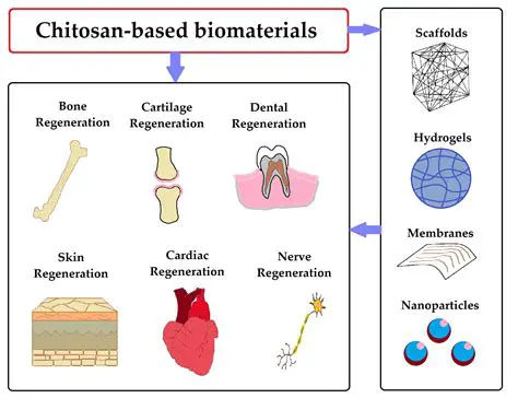 Chitosan as an Adsorbent for Cholesterol Reduction