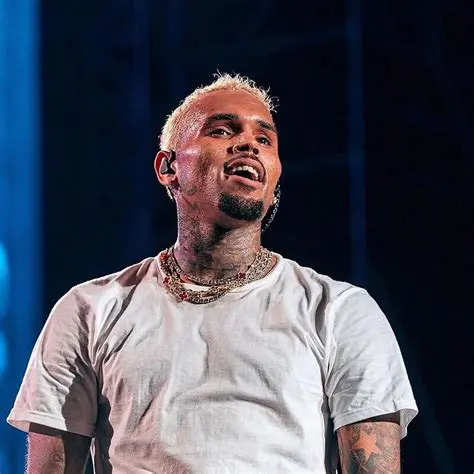 Unpacking the Phenomenon: Who is Chris Brown and the Curious Case of 'Kyle Chris Brown'?