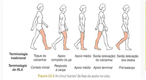 Ciclo da marcha de alta intensidade