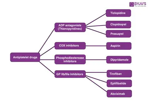 Classification System of Drugs
