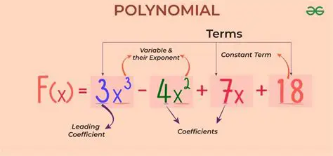 Coefficients in Polynomials