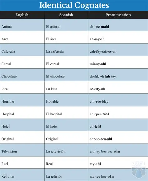 Cognates and Their Role in Understanding Spanish Phrases