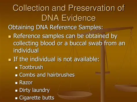 Collection and Preservation of DNA Evidence