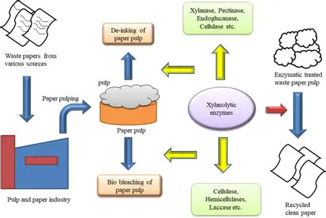 Common Bleaching Agents in Paper and Pulp Production