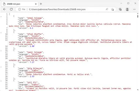 Como registrar mais um objeto em JSON com JS
