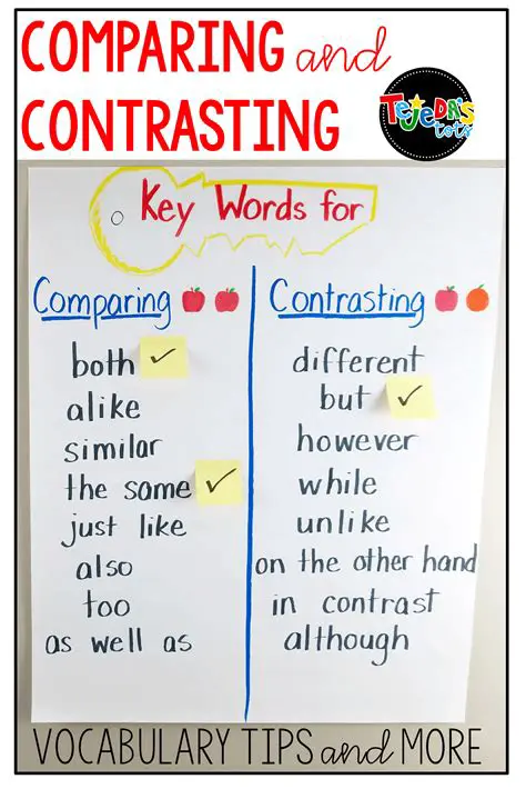 Comparing and Contrasting the Two Cases