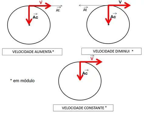 Componentes do Movimento Circular