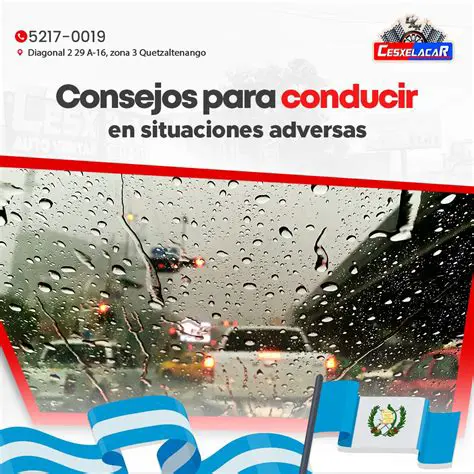 Consejos para conducir en zona rural