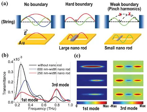 Consideration of fundamental and higher modes