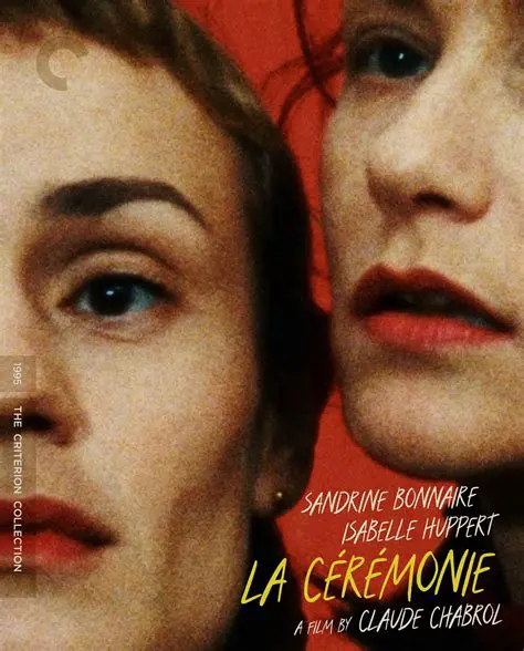 Exploring the Criterion Collection: A Deep Dive into Cinematic Excellence