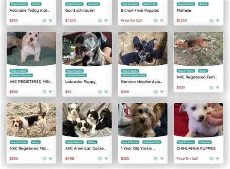 Discover Your Perfect Companion: Cumberland Times-News Classifieds for Pets