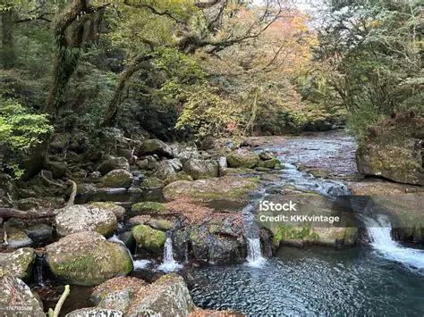 Daikanbo: A Breathtaking Journey Through the Aso-Kuju National Park