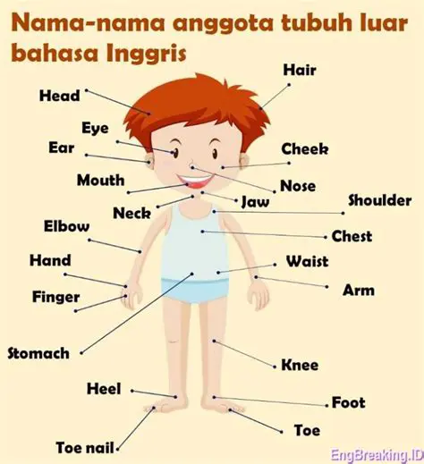 Dasi Bahasa Inggrisnya Apa? Temukan Jawabannya Beserta Tips Memilih dan Menggunakannya