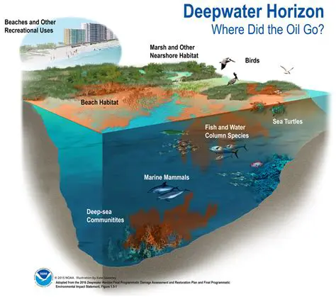 Deepwater Horizon Oil Spill: On-Scene Coordinator Reports and the Unfolding Environmental Crisis