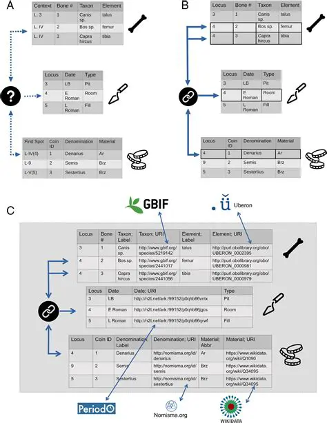 Denazavr O699yin: Unraveling the Mystery of a Unique Identifier