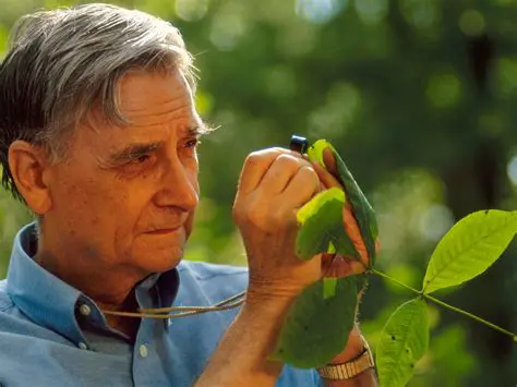Edward O. Wilson: The Visionary Biologist Who Redefined Our Relationship with Nature