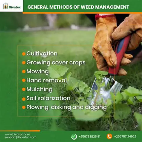Effective Weed Control Strategies