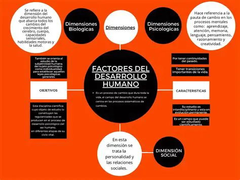 El Desarrollo del Artefacto