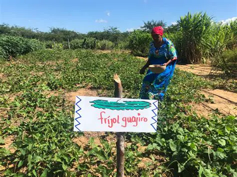 Eritrea: Analisi Approfondita del Paese del Corno d'Africa, Economia, Cultura e Sfide Attuali