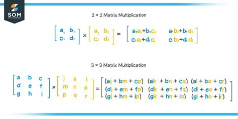Example of Matrix Dimensions