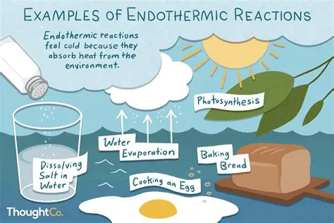 Examples of Endothermic Reactions