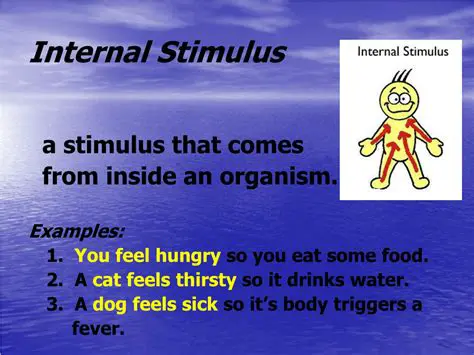 Examples of Internal Stimuli