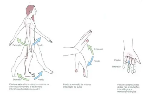 Exemplos de Movimentos Isolados