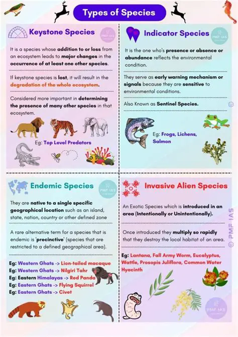 Existence of Dominant Species