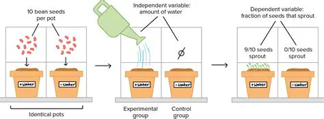 Experiment with different scenarios