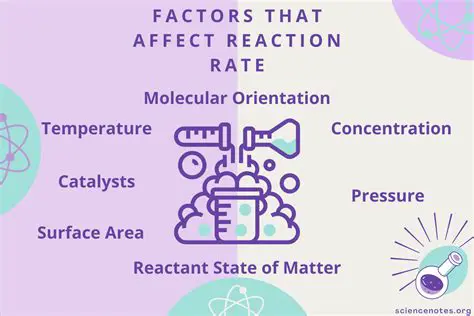 Factors Affecting the Reaction Rate