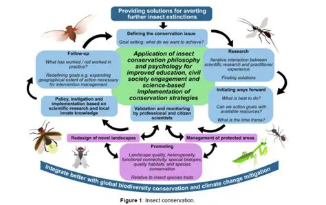 The Fascinating World of Ants: Unveiling Earth's Most Dominant Insects