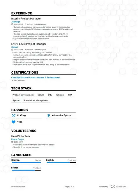 Features of the CV Download Manager
