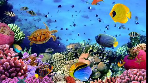 Features of the Fish Screensaver